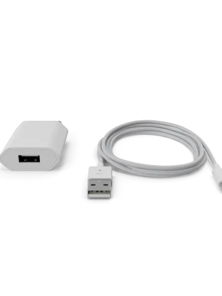 Apple iPhone Charger