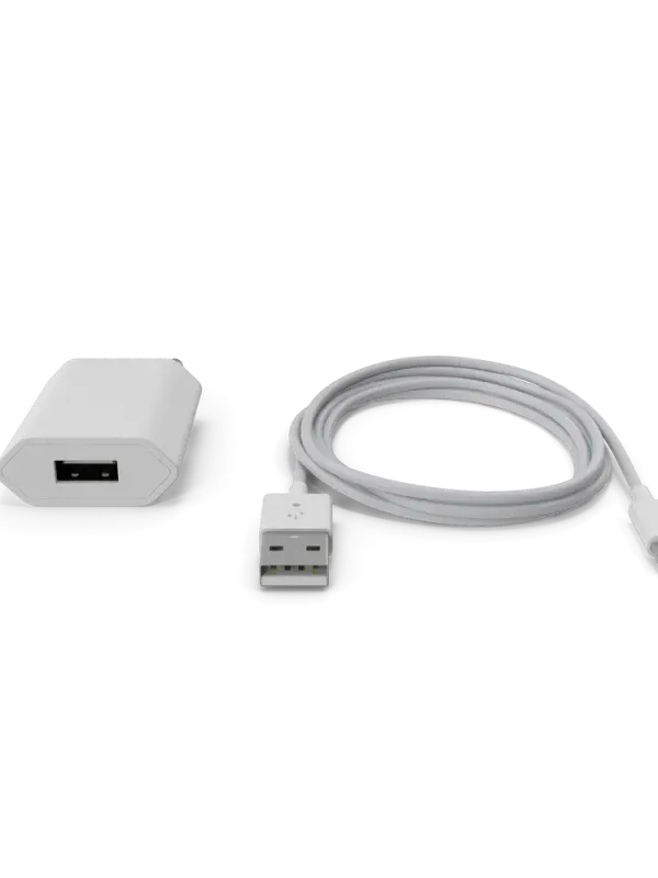 Apple iPhone Charger