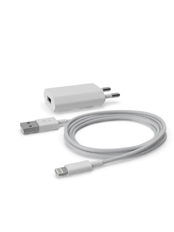 Apple iPhone Charger